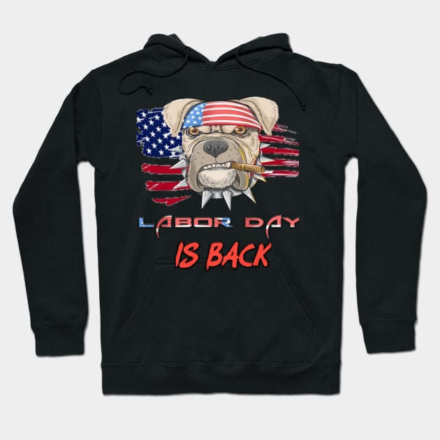 labor day holiday in usa Hoodie by Genio01